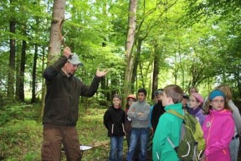 Ranger M. Rogel erklärt den Hirschlauf